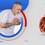 كم عدد شرايين القلب