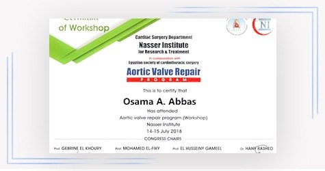 شهادة مهنية — أ. د. أسامة عباس