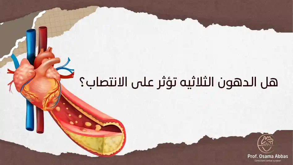هل الدهون الثلاثيه تؤثر على الانتصاب هل الدهون الثلاثيه تؤثر على الانتصاب