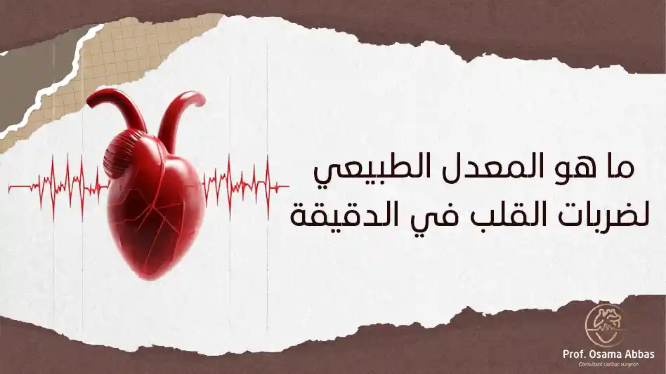 ما هو المعدل الطبيعي لضربات القلب في الدقيقة ما هو المعدل الطبيعي لضربات القلب في الدقيقة